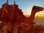 Mount-Sinai-sm.jpg