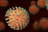 coronavirus-350x235_cnd.jpg